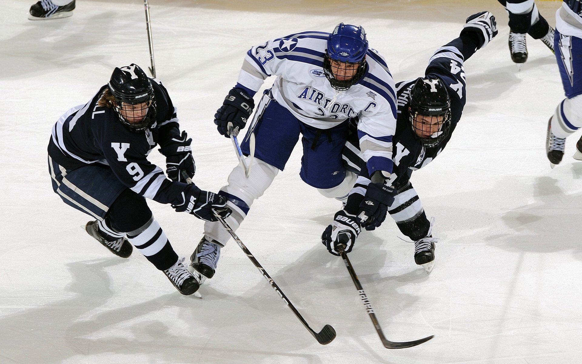 伊朗队教练：我们把沙漠经验带进了雪地，伊朗现任主教练